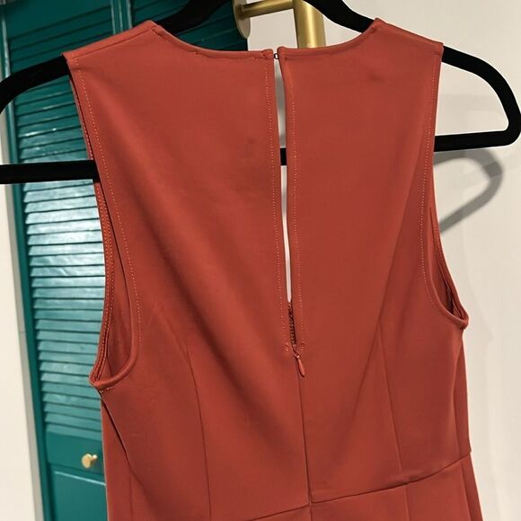 Black Swan NWOT rust form fitted dress - Picture 6 of 6